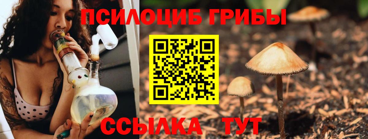 Галлюциногенные грибы мухоморы Пушкино